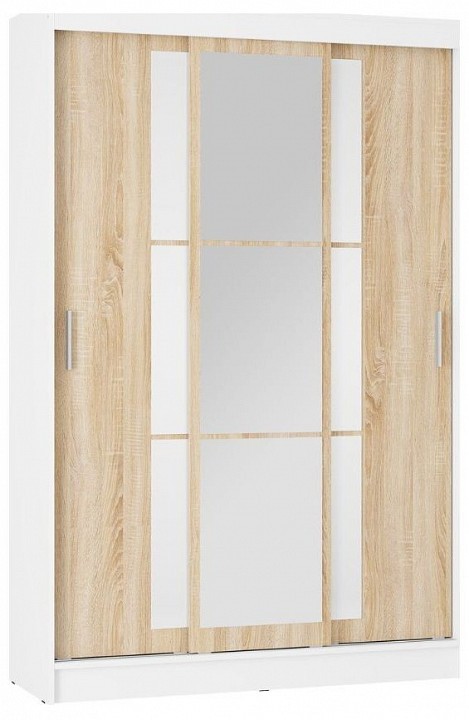 Шкаф-купе Денвер BTS_00-00164150