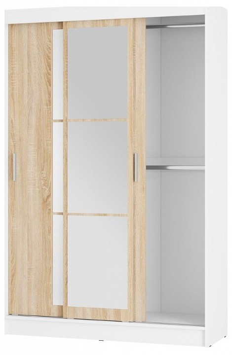 Шкаф-купе Денвер BTS_00-00164150