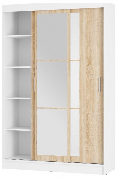 Шкаф-купе Денвер BTS_00-00164150