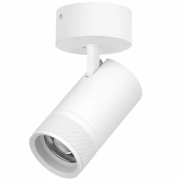Накладной светильник 20-55G с адаптером Lightstar Canno Pro C4406SO Накладной светильник 20-55G с адаптером Lightstar Canno Pro C4406SO