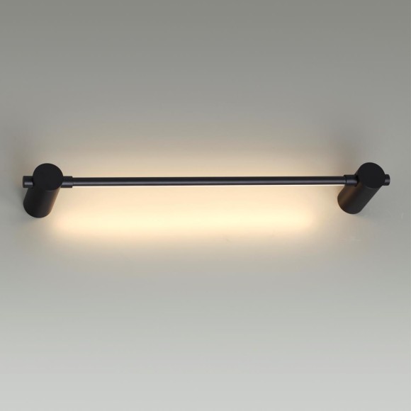 Настенный светильник Odeon Light Dalia 4395/6WL