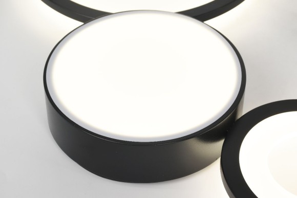 Потолочная светодиодная люстра с пультом управления Rivoli Aliona Б0066468