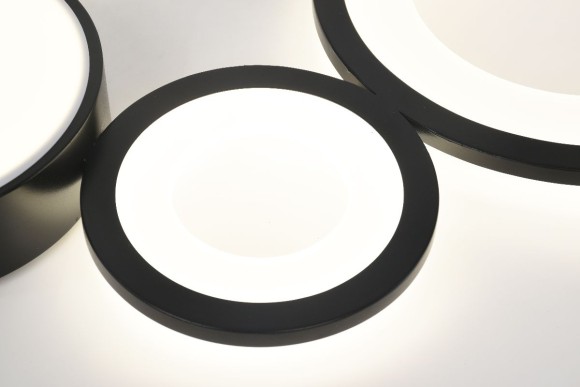 Потолочная светодиодная люстра с пультом управления Rivoli Aliona Б0066468