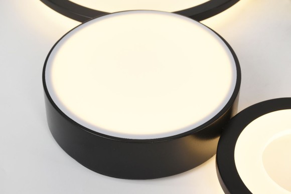 Потолочная светодиодная люстра с пультом управления Rivoli Aliona Б0066468