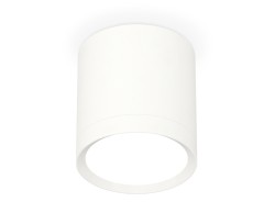 Потолочный светильник Ambrella Light Techno Spot XS8141001 (C8141, N8112)