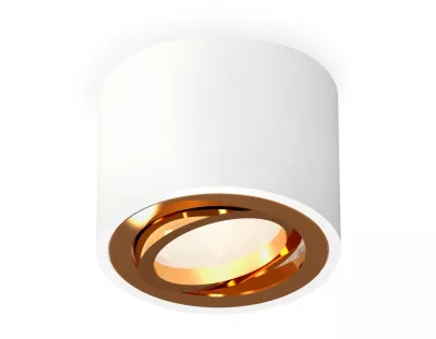 Потолочный светильник Ambrella Light Techno Spot XS7510004 (C7510, N7004)