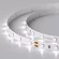 Светодиодная лента Arlight RT-A60-8mm 24V White6000 (4.8 W/m, IP20, 2835, 5m) 011504(2)
