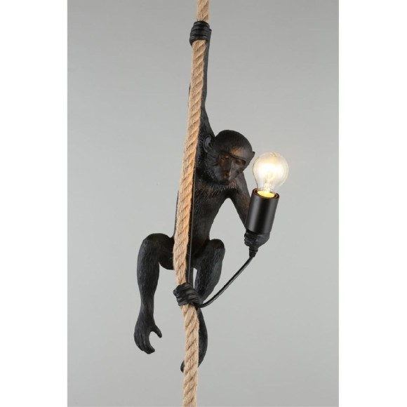 Подвесной светильник Aployt Magali APL.309.16.01