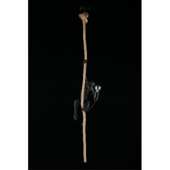 Подвесной светильник Aployt Magali APL.309.16.01