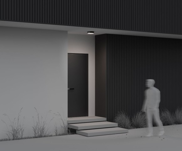 Уличный потолочный светильник Maytoni Zon IP O431CL-L30B4K