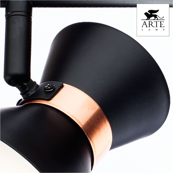 Спот Arte Lamp Baltimore A1406AP-2BK, E14, 80W, черный
