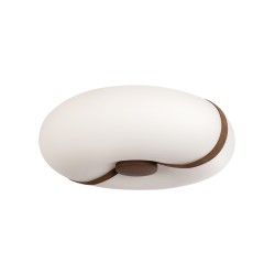 Потолочный светильник LOFT IT Bolina 10473