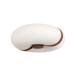 Потолочный светильник LOFT IT Bolina 10473