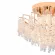 Потолочный светильник Escada Whisper 140015/4C Gold ES0000075, Золото, Прозрачный, Металл, крупный план