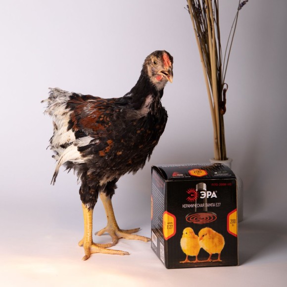 Инфракрасная лампа для брудера, рептилий Эра CeramiHeat FITO-100W-НQ Б0052715