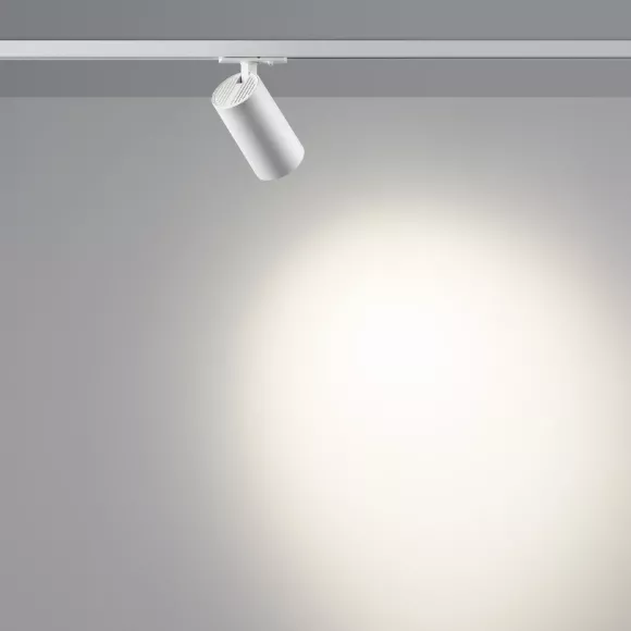 Трековый однофазный светильник Novotech Port Selene 359922 Трековый однофазный светильник Novotech Port Selene 359922