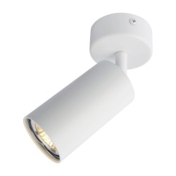 Спот Arte Lamp Aquarius A3216PL-1WH, GU10, 50W, белый