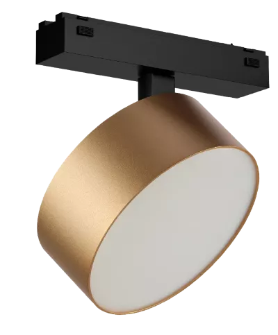 Трековый магнитный светильник iLedex Vision 4825-047-D140-20W-110DG-4000K-SGD