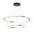 Подвесная люстра Arte Lamp Veritate A2211SP-2BK