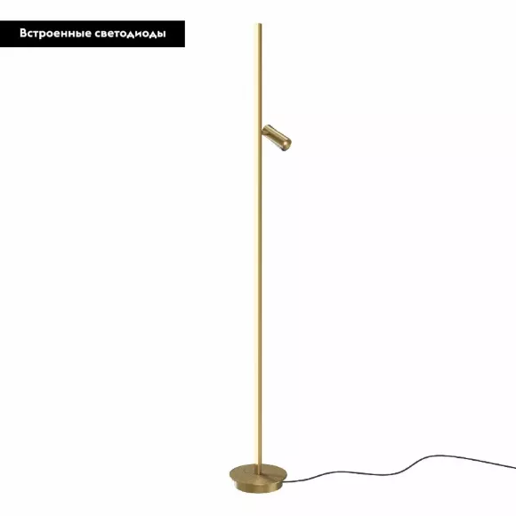 Торшер Maytoni Thin MOD395FL-L28BS3K