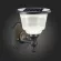 Светильник на солнечных батареях ST Luce Solaris SL9502.401.01