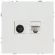 Розетка Эра Galaxy 15-3110-08 комбинированная RJ45+TV IP20 белый матовый Б0070790