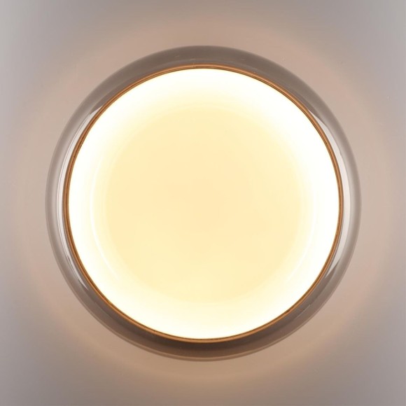 Настенно-потолочный светильник Sonex Color Portman 7777/DLN