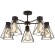 Потолочная люстра Eurosvet Trappola 70107/5 черный