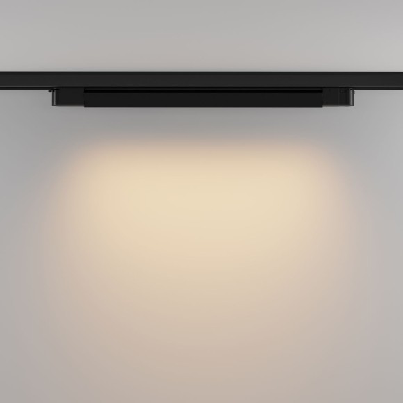 Трековый трехфазный светильник Maytoni Basis TR196-3-20W2.7K-B