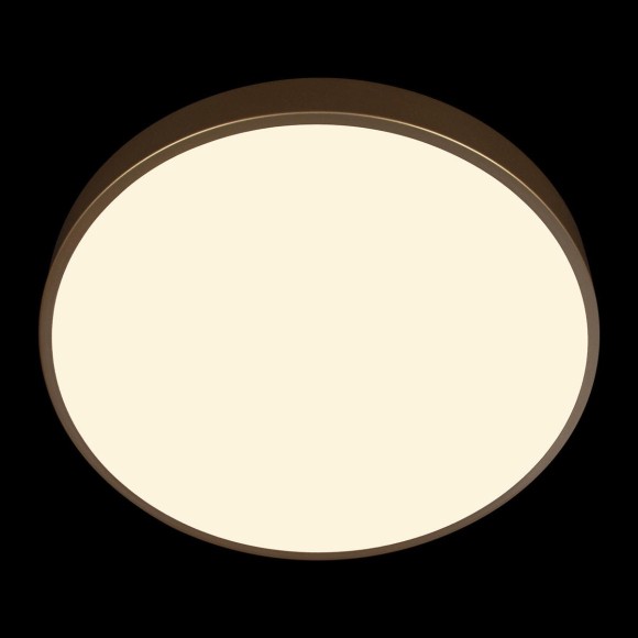 Потолочный светильник Loft IT Flims 10228/A