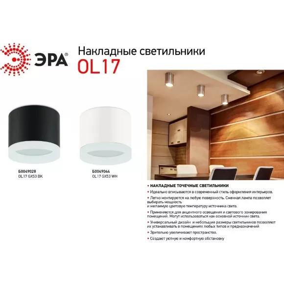 Накладной светильник ЭРА OL17 GX53 BK Б0049028 Накладной светильник ЭРА OL17 GX53 BK Б0049028