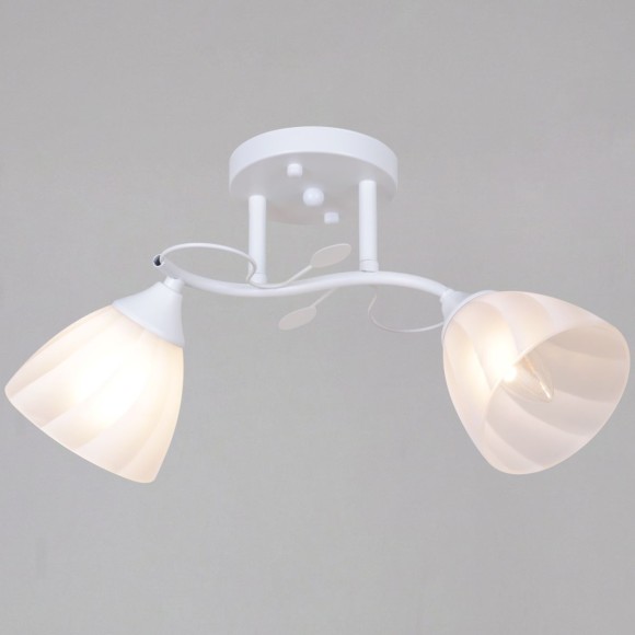 Потолочный светильник Reluce 62560-0.3-02 WH