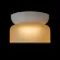 Потолочный светильник LOFT IT Totem 10466 Amber matte, декоративные элементы крупным планом