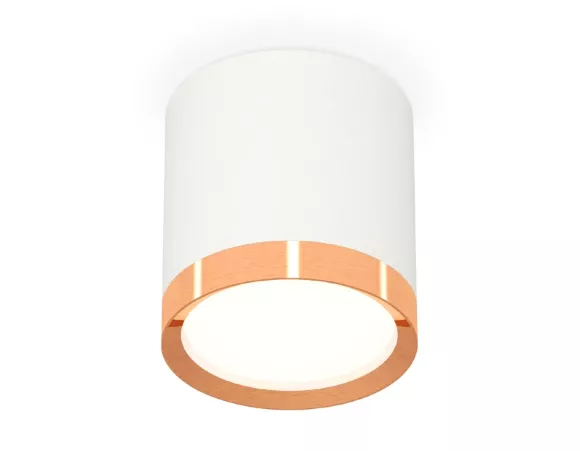 Потолочный светильник Ambrella Light Techno Spot XS8141005 (C8141, N8126) Потолочный светильник Ambrella Light Techno Spot XS8141005 (C8141, N8126)