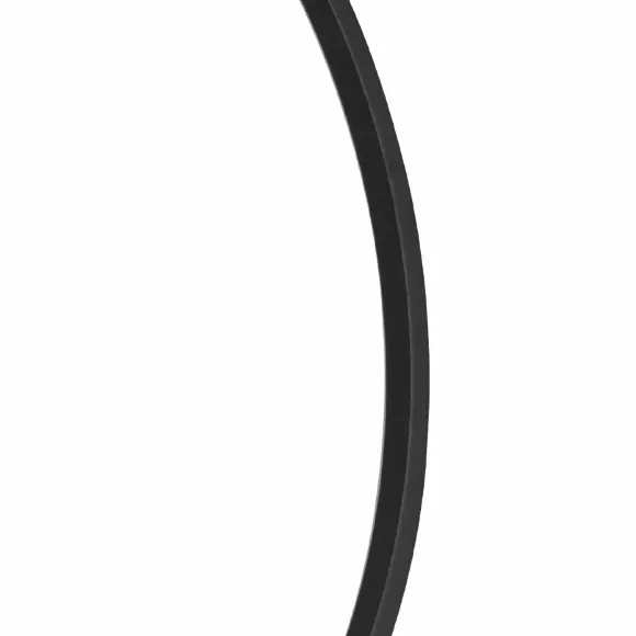 Настенный светильник Lightstar Undine 738567, Черный, Теплый белый, Металл, вид сбоку