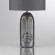 Настольная лампа Lumion Moderni Akivi 8146/1T