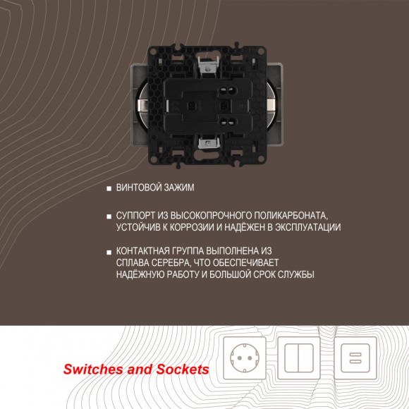 Розетка двойная с заземлением Arte Milano 217.40-2.shampan