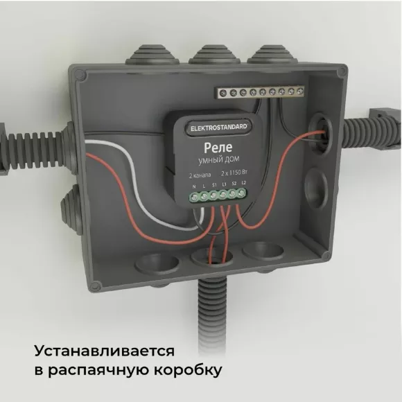 Умное двухканальное реле Elektrostandard 4690389185083 a059326 Умное двухканальное реле Elektrostandard 4690389185083 a059326