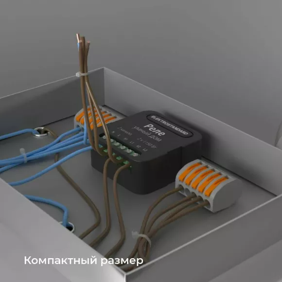 Умное двухканальное реле Elektrostandard 4690389185083 a059326 Умное двухканальное реле Elektrostandard 4690389185083 a059326