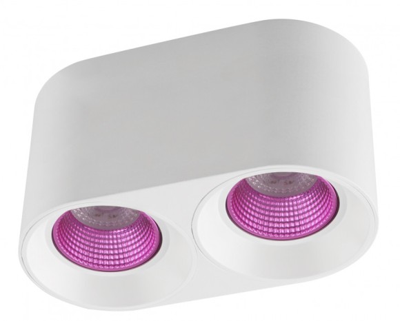 Потолочный светильник Denkirs Rodvig DK3096-WH+PI