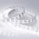 Светодиодная лента Arlight RT-B120-15mm 24V White6000 (28.8 W/m, IP20, 5060, 5m) 011256(2)
