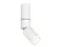 Спот Ambrella Light Techno Spot XM6312120 (C6322, A2061, A2220, C6312, N6220)