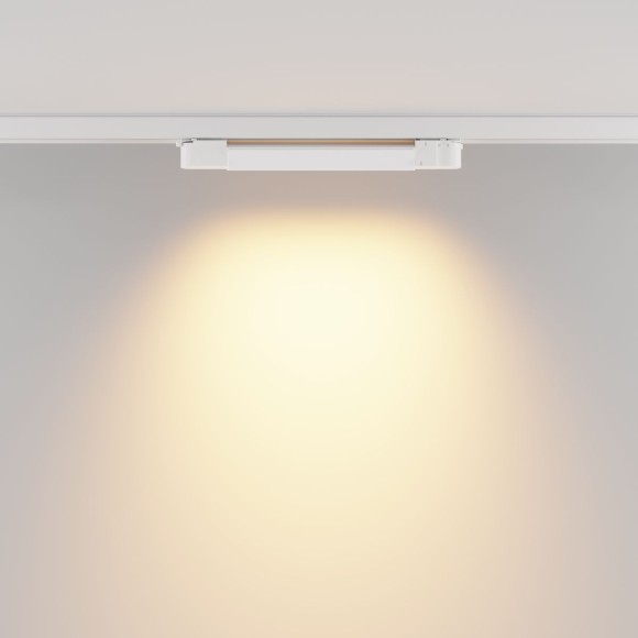 Трековый трехфазный светильник Maytoni Basis TR196-3-10W2.7K-W
