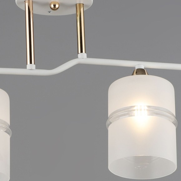 Потолочная люстра Reluce 02283-0.3-04 WT+FGD