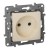Розетка 2К Legrand Etika 16A 250V б/з винтовой зажим слоновая кость 672320