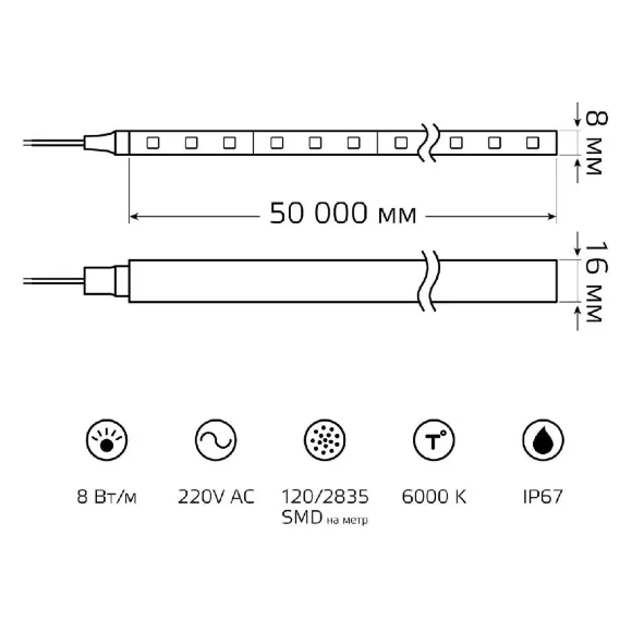 Светодиодная лента Gauss 220В 2835 8Вт/м 6500K 50м IP67 311000308