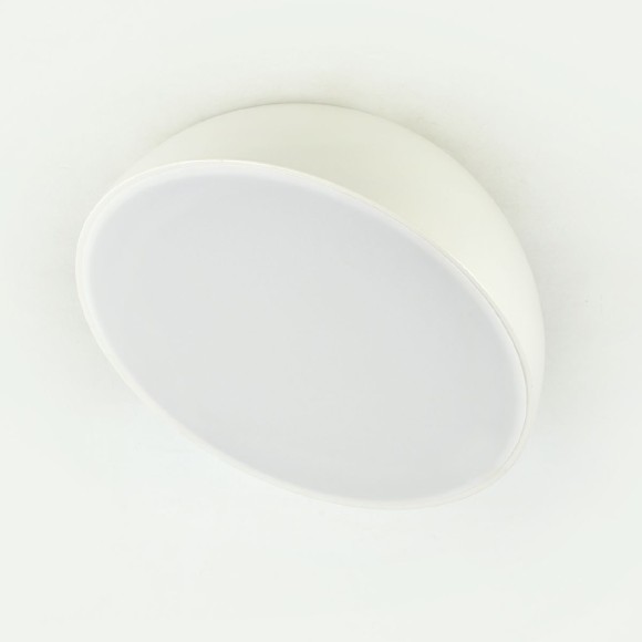 Потолочный светильник Escada 20025SMA/01LED WH