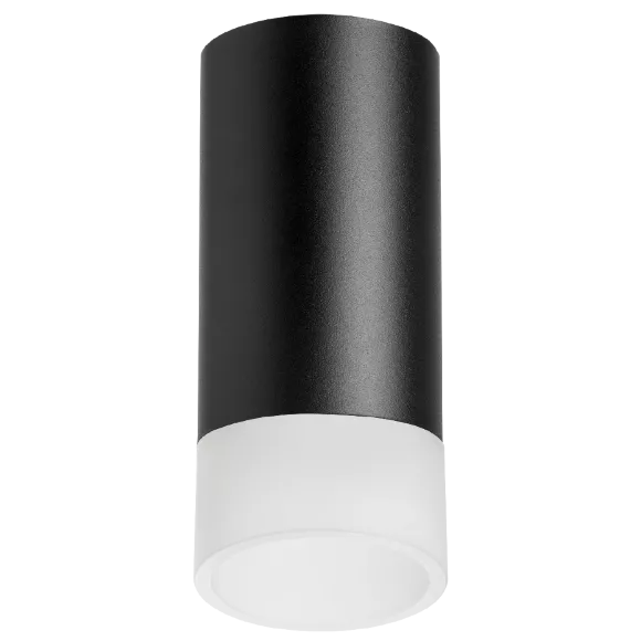 Накладной светильник Lightstar Rullo R43731 (214437+202431), Черный, Металл, Модерн стиль