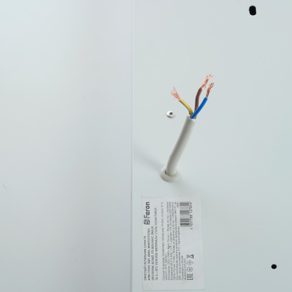 Потолочный светильник Feron Армстронг 48901