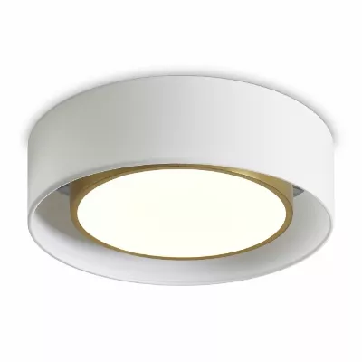 Потолочный светильник Freya Cozy FR6170CL-L52BS